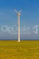 Wind power generator on wheat field