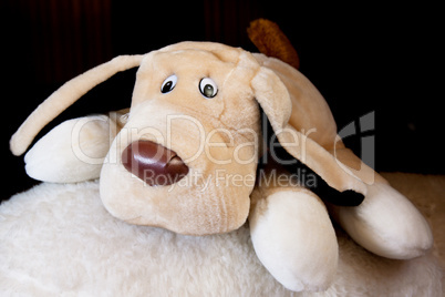 Soft plush toy dog looking cute straight into the camera