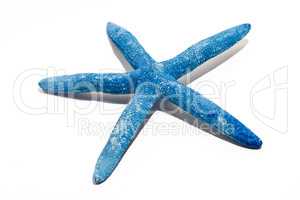 Starfish seashell isolated on white background