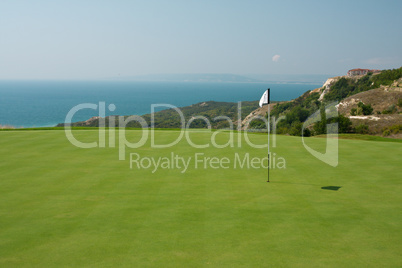 Golf ball in a green course and hole