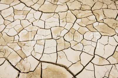 Cracked mud texture for overlay effect