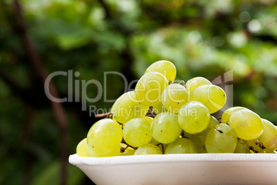 Plate of grape with vine leafs