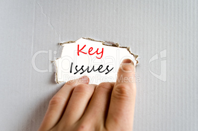 Key issues Text Concept
