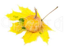 Small decorative pumpkin on yellowed autumn maple-leaf