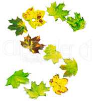 Letter S composed of multicolor maple leafs