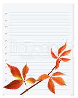 Exercise book with autumnal virginia creeper leaf