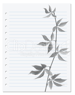 Exercise book with black-white virginia creeper twig