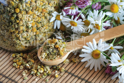 Dried Camomile