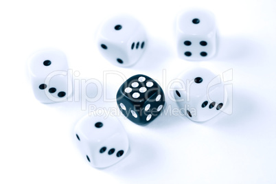 Roll Of The Dice