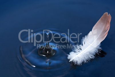 Feather On Water