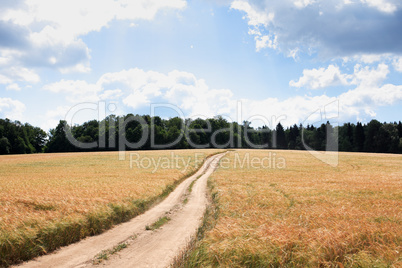 Road Over Field