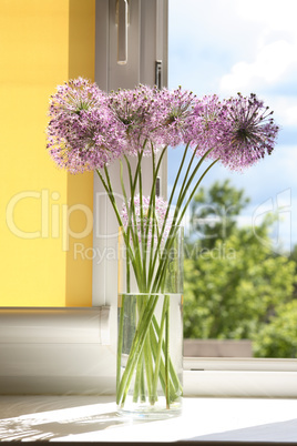 Flowers On Window-Sill