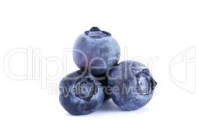 Blueberries On White