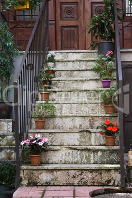 Flowers On Staircase