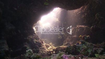 Sunlight Illuminates a Underwater Cave, Red Sea
