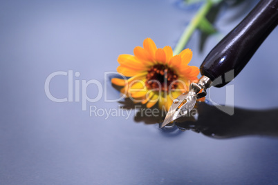 Pen And Flower