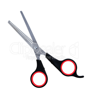 Professional Haircutting Scissors