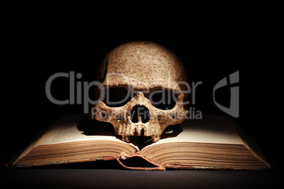 Skull On Book