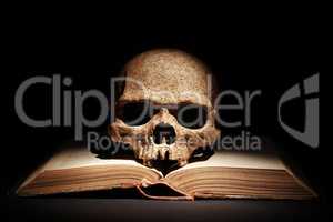 Skull On Book