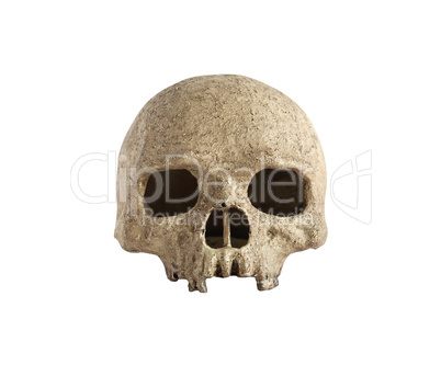 Skull On White