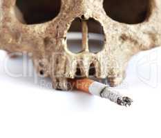 Death Smoker