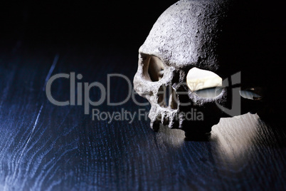 Skull On Dark