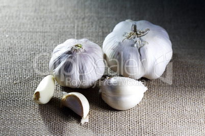 Garlic On Canvas