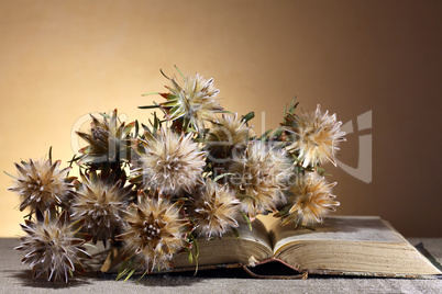 Flowers And Book