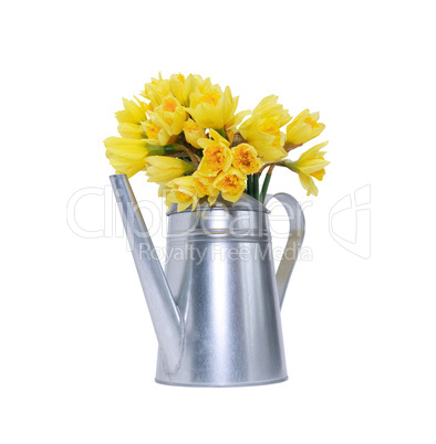 Flowers In Watering Can