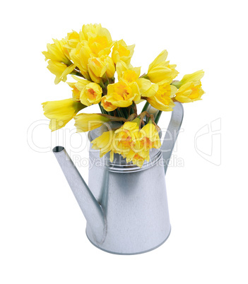 Posy In Watering Can