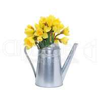 Flowers In Watering Can