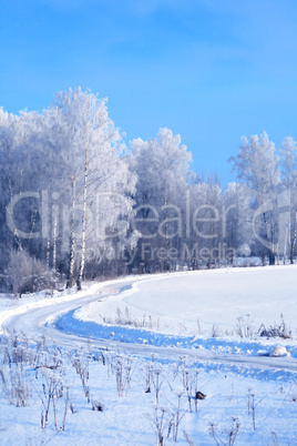 Winter Landscape