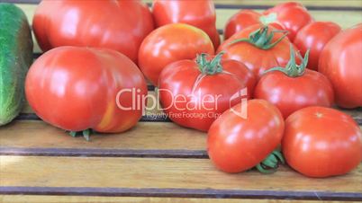 Tomatos yield