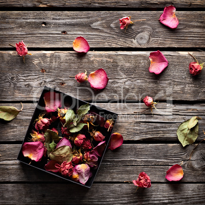 Rose petals inside open gift box