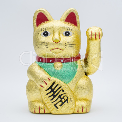 isolated fortune or lucky cat
