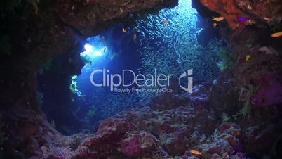 Sunlight Illuminates a Underwater Cave, Red Sea