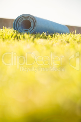 Exercise mat lying on the grass