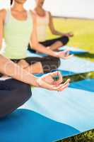 Sporty women meditating on exercise mats
