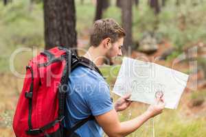 Young handsome hiker using map