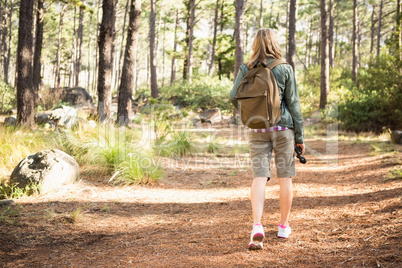 Blonde hiker hiking on path