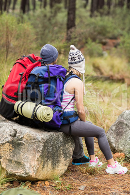 Rear view of a young happy hiker couple