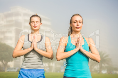 Peaceful sporty blondes doing yoga together