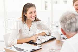 Smiling business people having a meeting