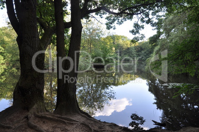 Maunzenweiher bei Frankfurt