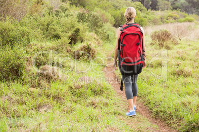 Blonde hiker hiking with backpack