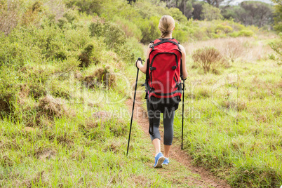 Blonde hiker hiking with trekking poles