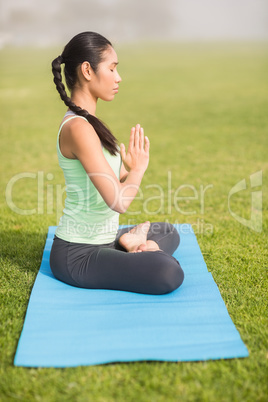 Peaceful sporty woman doing the lotus pose