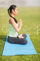 Peaceful sporty woman doing the lotus pose