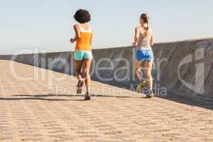 Rear view of two young women jogging together