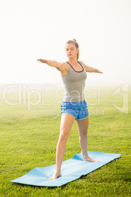 Peaceful sporty blonde doing warrior pose on exercise mat